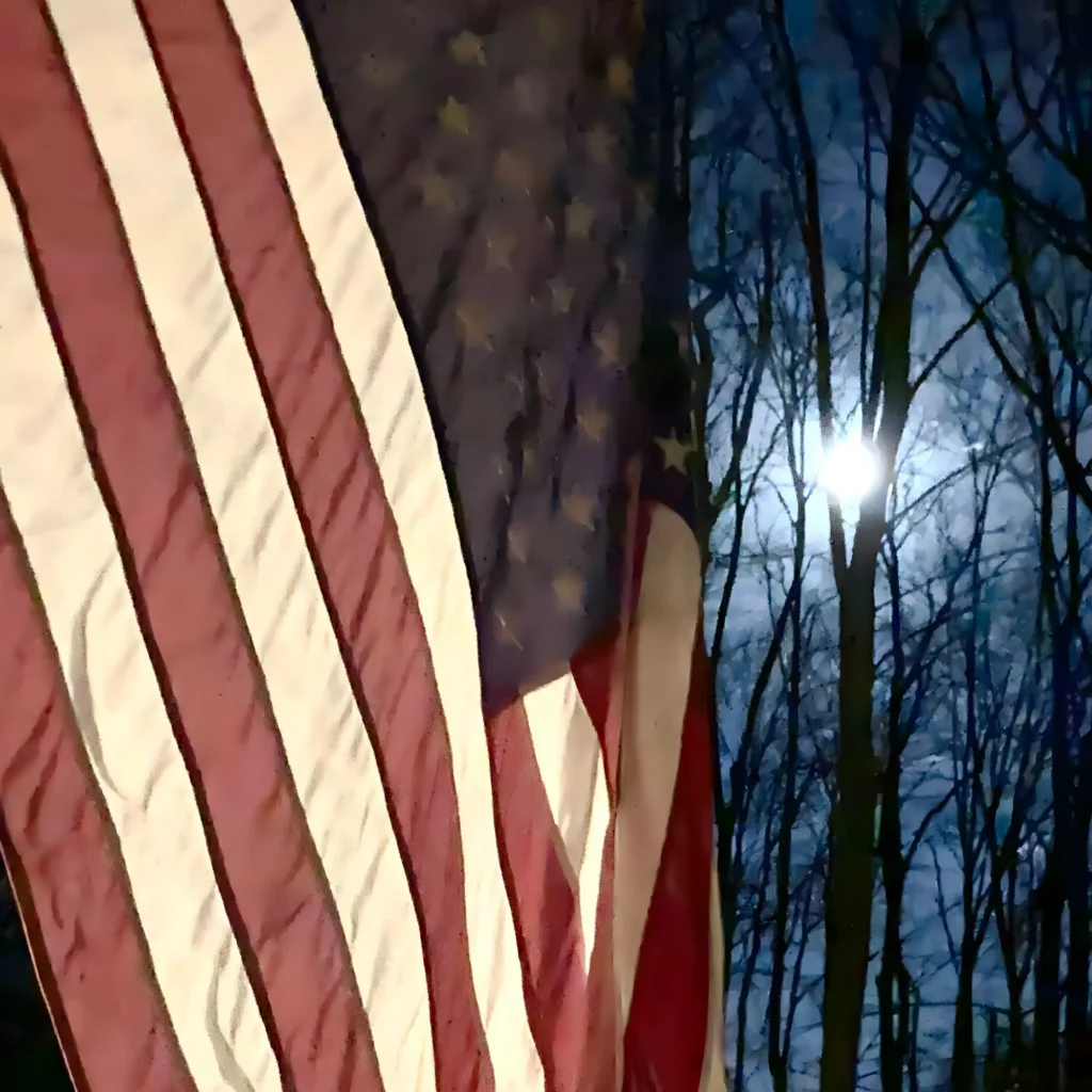 An American flag in a forest of dead trees.